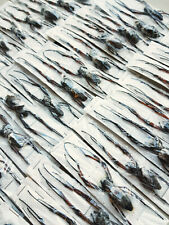 x5 Araignée néphile Trichonephila inaurata en papillote - (insecte entomologie)