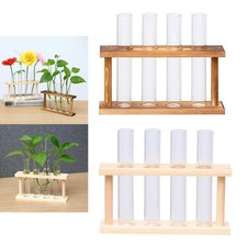 Terrarium de Table de Support