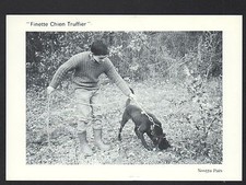CHAZAL / LADORNAC (24) CHIEN Chercheurs de Truffes au travail en 1991