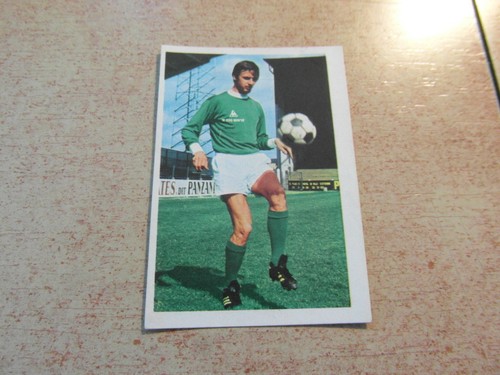 Genre panini ageducatifs - panini,
