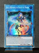 carte YU-GI-OH COTD-FR048 Ib