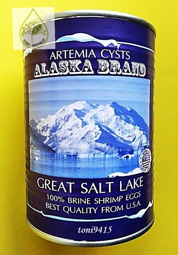 Brine shrimp egg - brine,