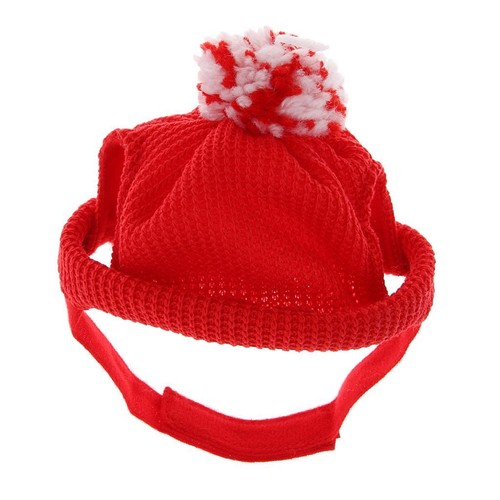 Chapeau pour chien - pour, et