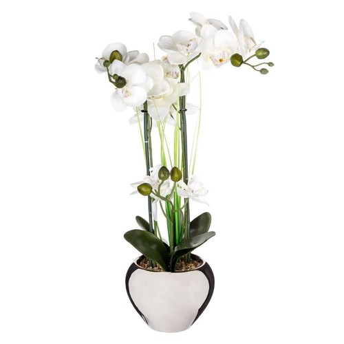Composition florale vase - &,