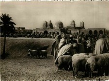 CPA AK ALGERIA Marché dans le Sud (749610)