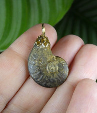 Jolie Ammonite en Pyrite