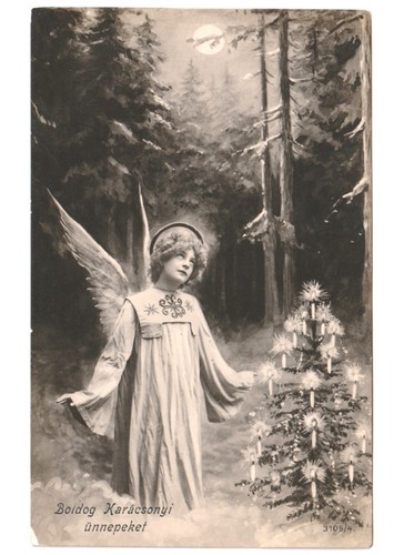 1906 antique photo - 1906,