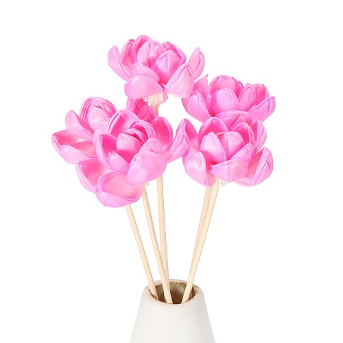 5pcs bâtons diffuseur parfum - 5pcs,