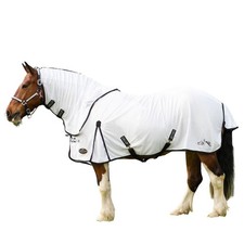 Gallop - Couverture