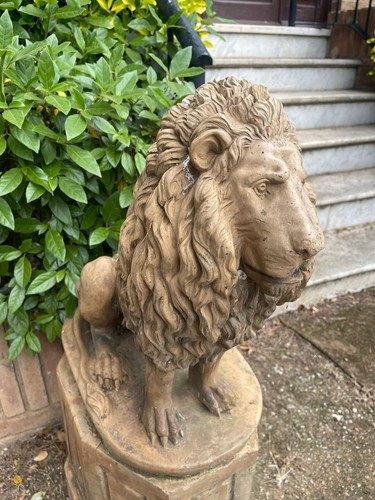 Paire lions gardiens - paire,