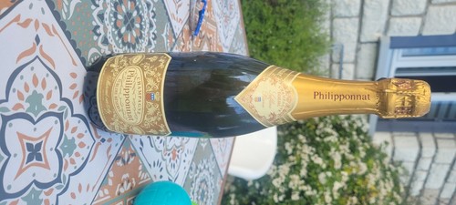 Champagne philipponnat 1991 - champagne,