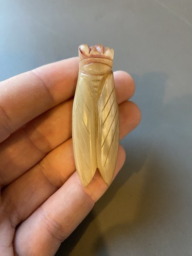 Ancienne broche cigale - , en