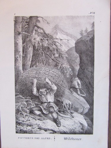 Gravure 19ème siècle suisse - 19ème,