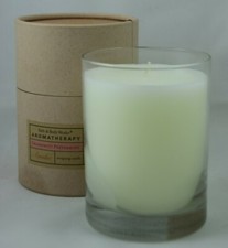 Bath Body Works *AROMATHERAPY* GRAPEFRUIT PEPPERMINT Candle 10 oz *RETIRED*