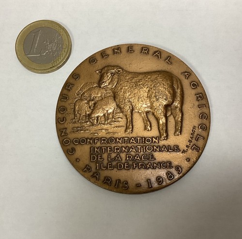 Médaille bronze concours - médaille,