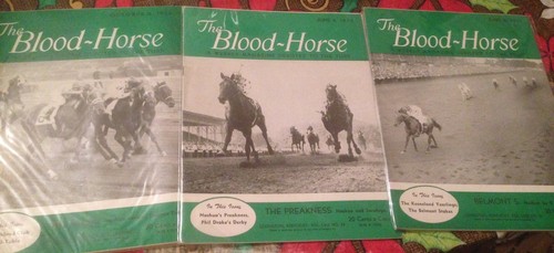 Blood horse preakness - blood,