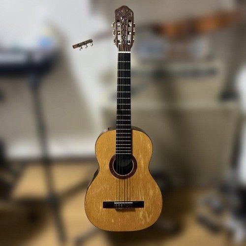 Classical acoustic guitar - classical, di