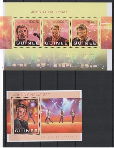 Guinée 2013 johnny hallyday - guinée,