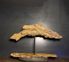 Sculpture Bois Flotté Sur