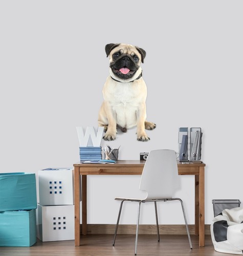 Chien mignon c09 animal - 3d,