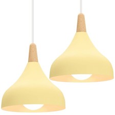 Lot de 2 Lustres Suspensions