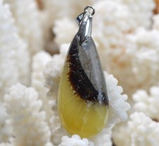 Septaria 33 carats - pendentif