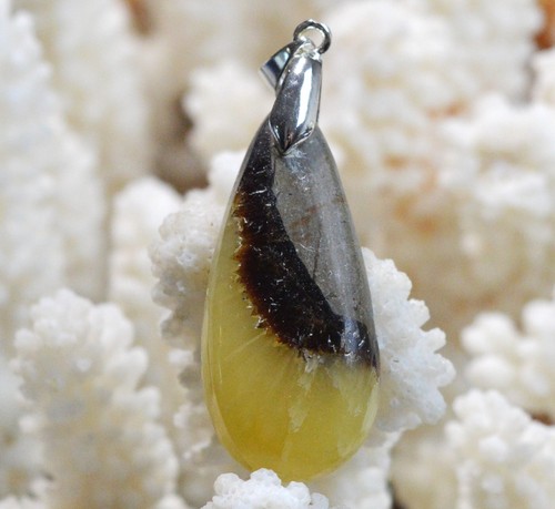 Septaria carats pendentif - septaria,