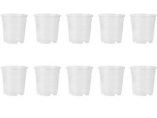 10 Vases Pour Orchidées