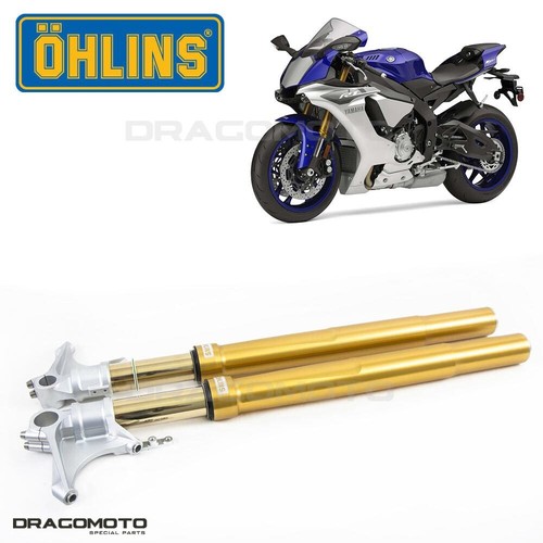 Yamaha yzf m - yzf, r1