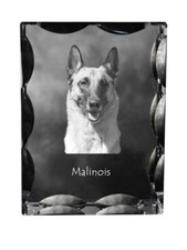 Malinois chien de berger belge cadre en cristal avec chien Art-Dog