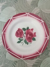 ASSIETTE ANCIENNE DIGOIN SARREGUEMINES CIBON D. 22cm ANTIQUE FRENCH PLATE - 4