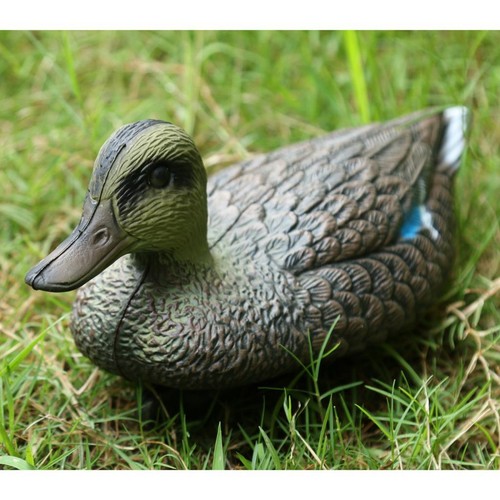Canard mandarin artificiel - , en