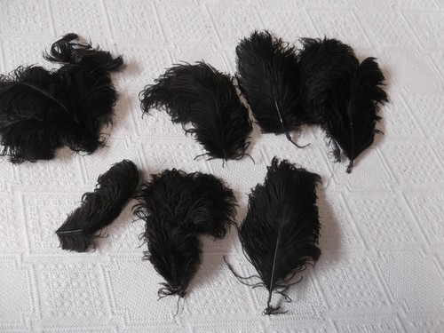 Lot plumes d autruche - de, d'autruche