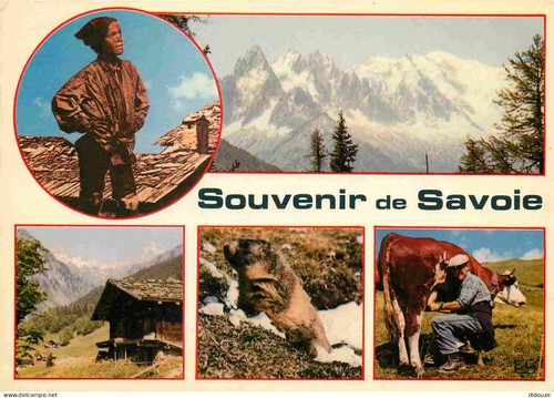 Carte postale animaux - -,