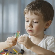  3 Pcs Jouet D'apprentissage