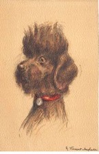 Animaux - n°77597 - Chien - Vincent Anglade - Caniche - Carte vendue en l'ét