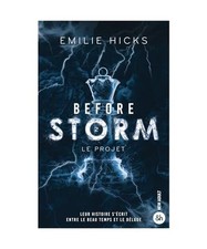 Before Storm - T2 : Le projet