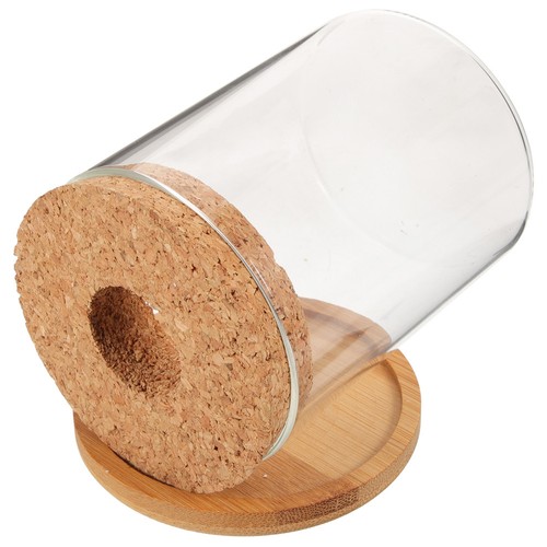 Récipient terrarium pot - récipient,