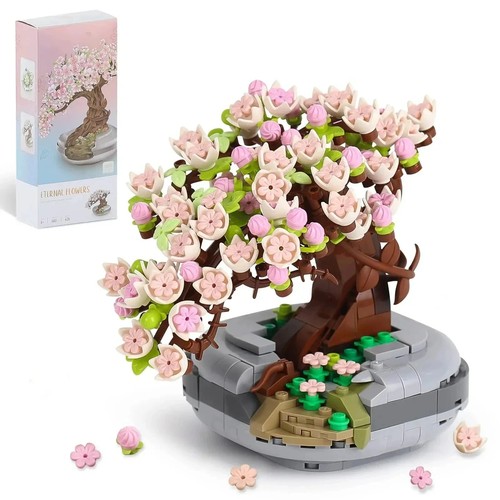 Bonsaï sakura cerisier - bonsaï,