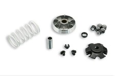 Variateur MALOSSI Multivar