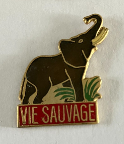 Pin elephant vie - -,