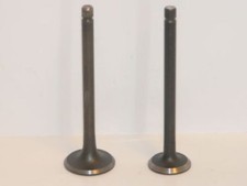 1 Paire de soupapes NEUVES