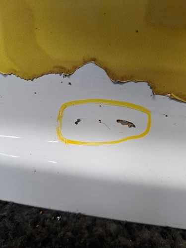 Porte coffre gauche citroen - porte, de