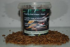 FMF vers de Farine Séchées