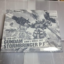MG 1/100 Gundam Stormbringer P.F. Build Divers Model Kit Premium Bandai