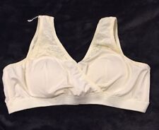 Off White Cream Ivory