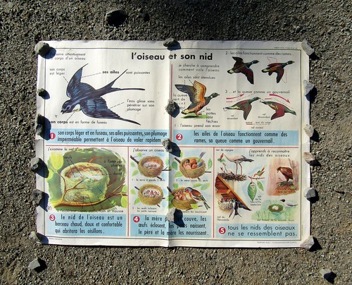 Carte scolaire botanique - carte,