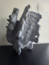 Corail Bleu Ancien Collection 