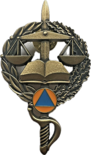 Insigne igsc echelon bronze - ,,