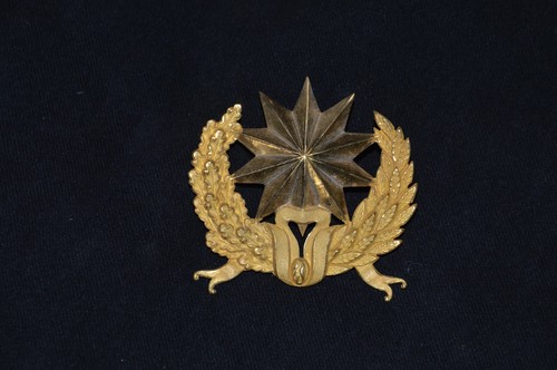 Rare insigne shako - insigne,